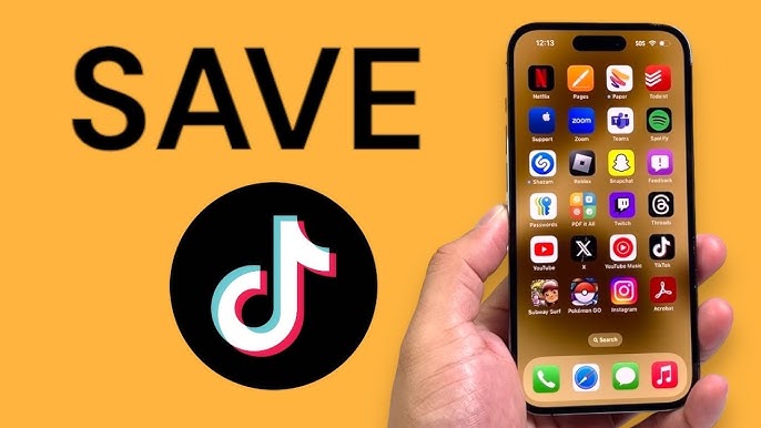 TikTok Videos
