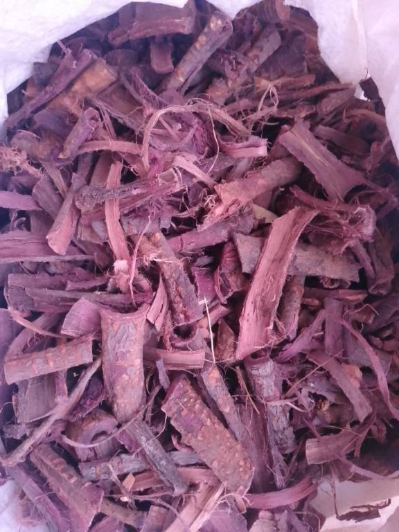 Hostilis Root Bark